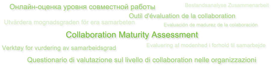 Collaboration Maturity Assessment